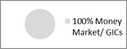 Asset Allocation Pie chart showing 100% Money Market/GICs