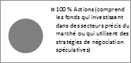Graphique circulaire de répartition d'actifs montrant 100 % d'actions (y compris les fonds qui investissent dans des sections spécifiques du marché ou utilisent des stratégies de négociation spéculatives)